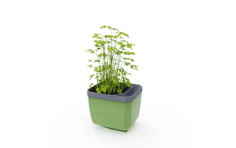 Gusta Garden HERBS BUDDY Kräutertopf Dunkelgrün