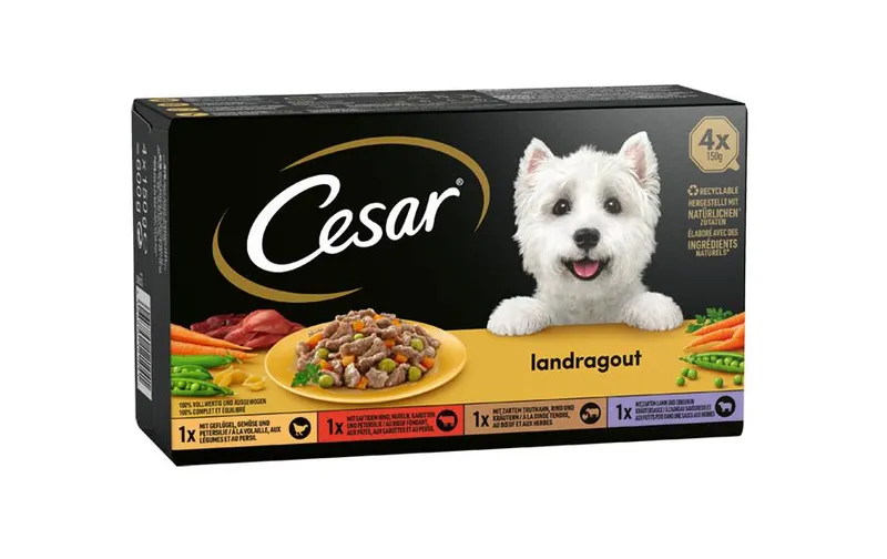 Cesar Nassfutter Landküche Vielfalt Sauce 4 x 150 g