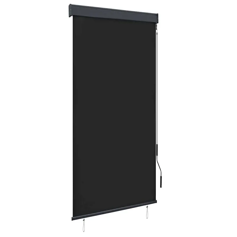 Außenrollo 100 x 250 cm Anthrazit