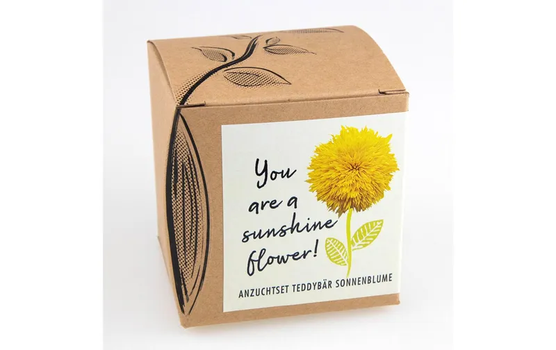 naturalekraftwerk Anzuchtset You are a Sunshine Flower