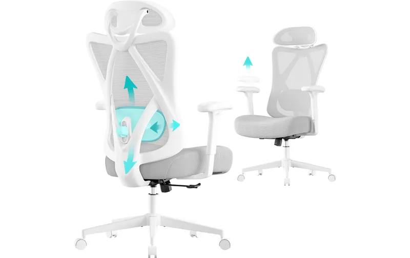 Songmics office chair with verstellbarer Lendenstütze and Kopfstütze