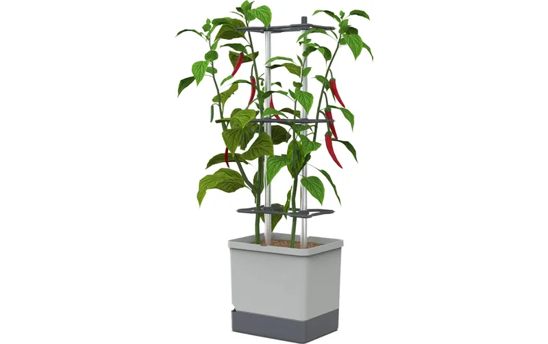 Gusta Garden Aufzuchttöpfe Charly Chili XL Hellgrau