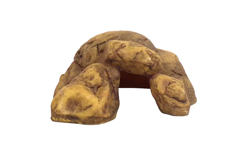 Exo Terra Höhle Reptile Cave M, 8 x 20 x 17 cm