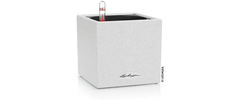 Lechuza CANTO Stone 14 bianco