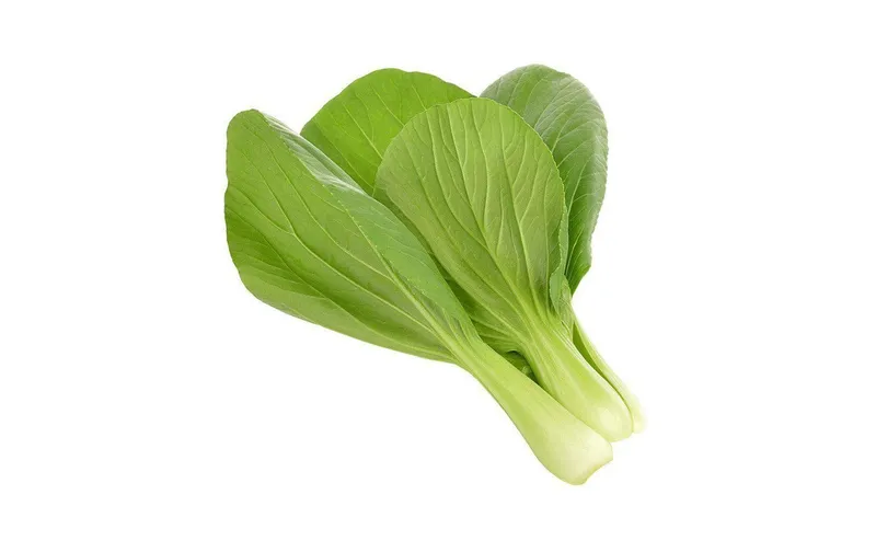 Click and Grow Samen Pak Choi