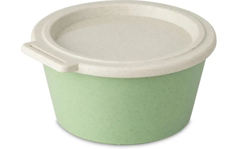 Koziol Schale Move Box mit Deckel 700 ml, verde