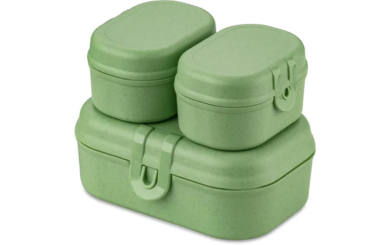 Koziol Lunchbox Pascal Ready Mini vert