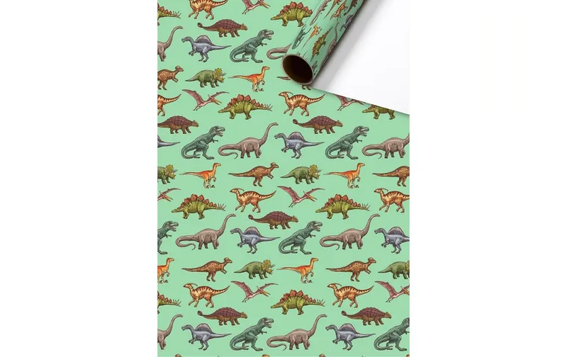 Stewo Geschenkpapier Saurus 1 pieces, green, 70 cm x 2 m