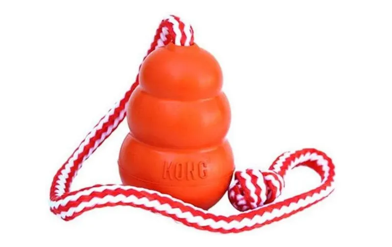 Kong Hunde-Spielzeug Kong Aqua Ø 9 cm