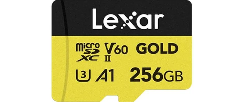 Lexar microSDXC-Karte Professional Gold 256 GB