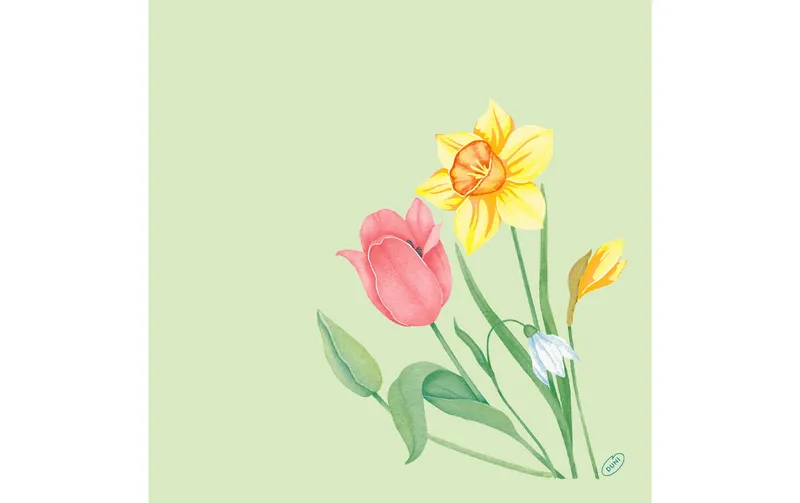 Duni Papierservietten Spring Melody 40 cm x 40 cm, 60 pezzi