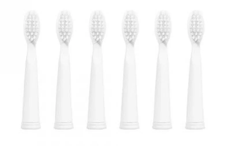 Ailoria Zahnbürstenkopf Flash Travel blanc, 6 pièces