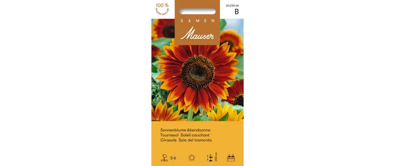 Samen Mauser Saatgut Sonnenblume Abendsonne