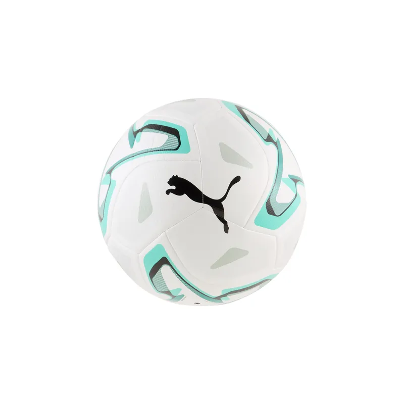 PUMA Fussball PUMA STELLAR Cup Lite 290