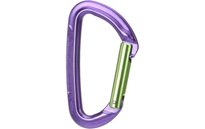 Wild Country Carabiner Session Straight Gate Lila