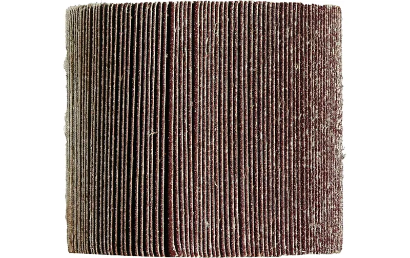 Einhell Schleiflamellen-Bürste 120 x 100 mm