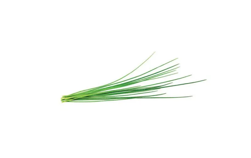 Click and Grow Samen Schnittlauch