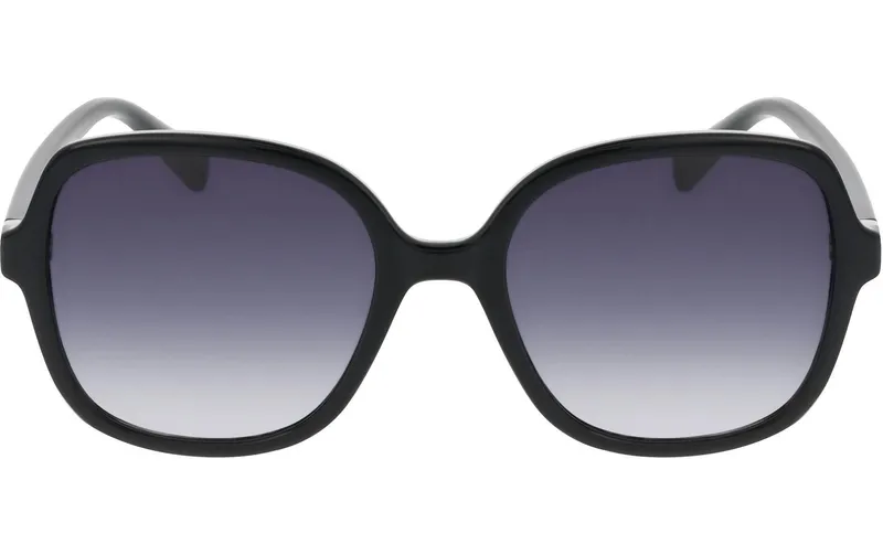 Lunettes de soleil SMARTY Grenchen Noir/Argent, avec étui