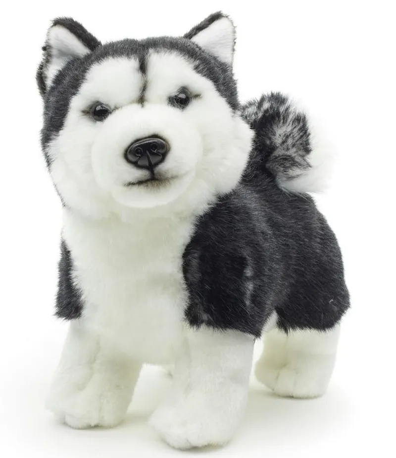 Plüsch Husky 22 cm