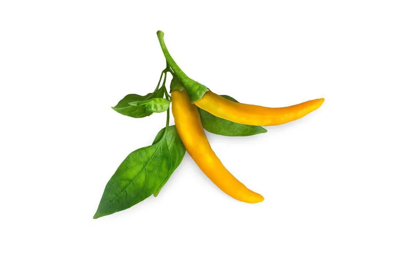 Click and Grow Samen Gelber Chili