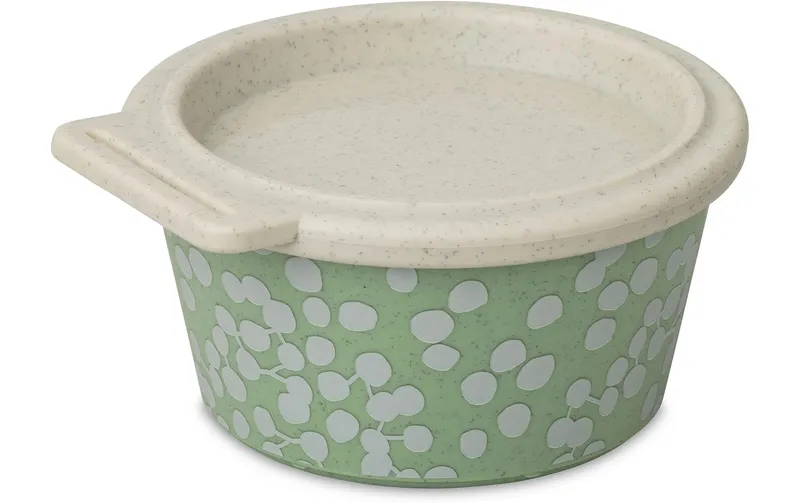 Koziol Blomster Box Dot 1 pezzi, verde