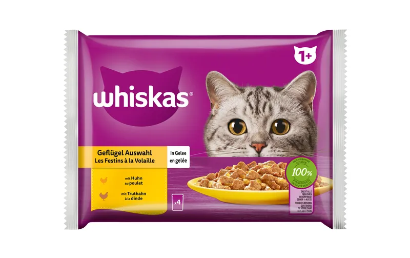 Whiskas Nassfutter Geflügel Auswahl in Gelee, 4 x 85 g