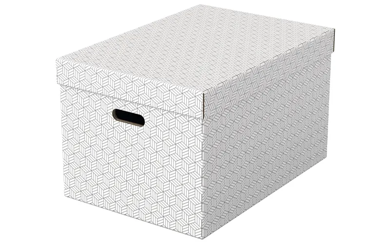 Leitz Aufbewahrungsbox Esselte Home L Gross, 3 pezzi, bianco