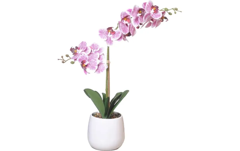CHALET Kunstblume Orchidee im Topf 56 cm, blanc/Rosa