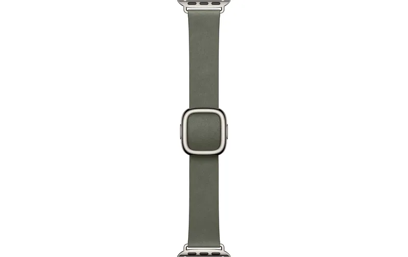 Apple Modern Buckle 42 mm Sage Gray Small