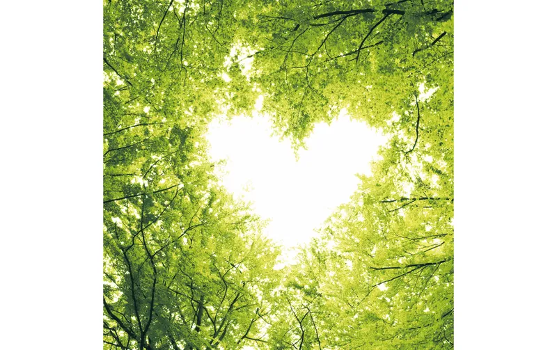 Paper + Design Papierservietten naturele Love 33 cm x 33 cm, 20 pièces