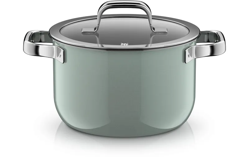 WMF Kochtopf Fusiontec Mineral Pro 20 cm, Eukalyptusgrün