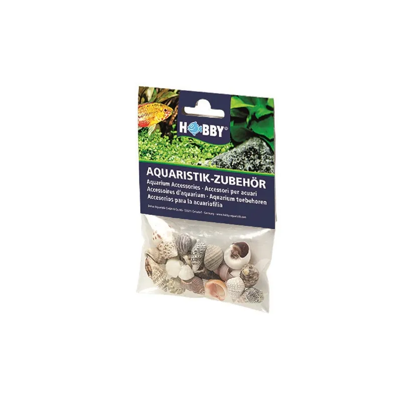 Hobby Aquaristik Dekoration Sea Shells Set, S, 20 Stück