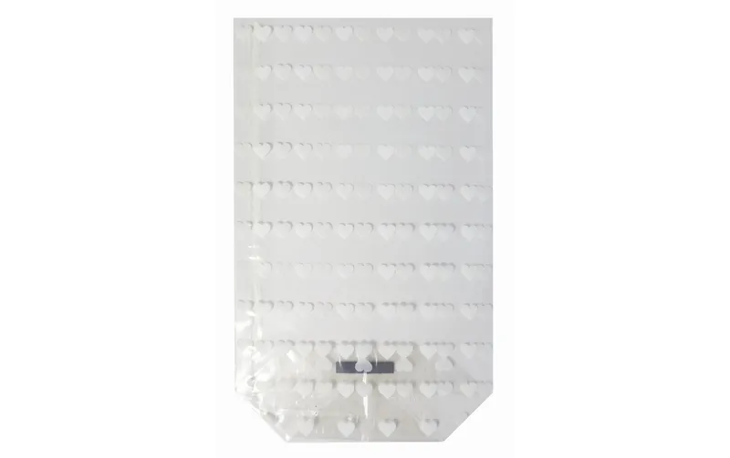 Braun + Company Klarsichttüte 14.5 x 23.5 cm