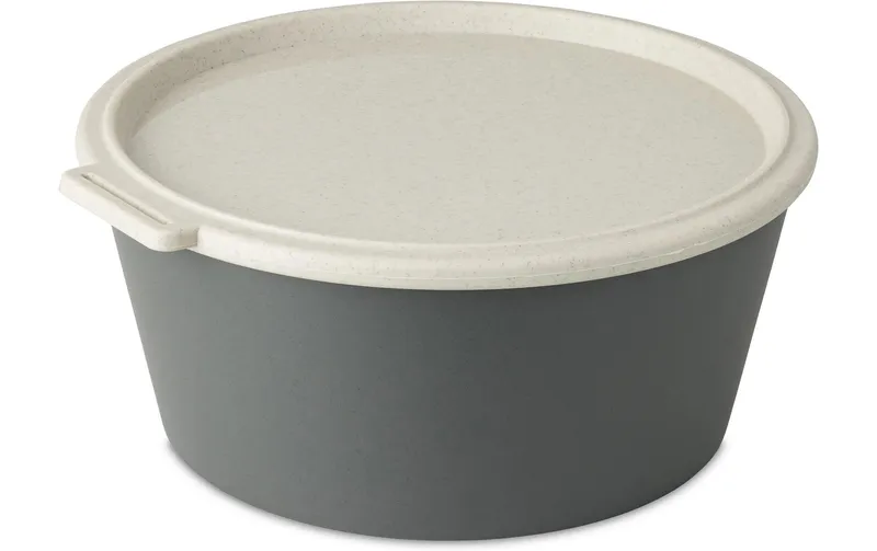 Koziol Schale Move Box mit Deckel 2.2 l, gris