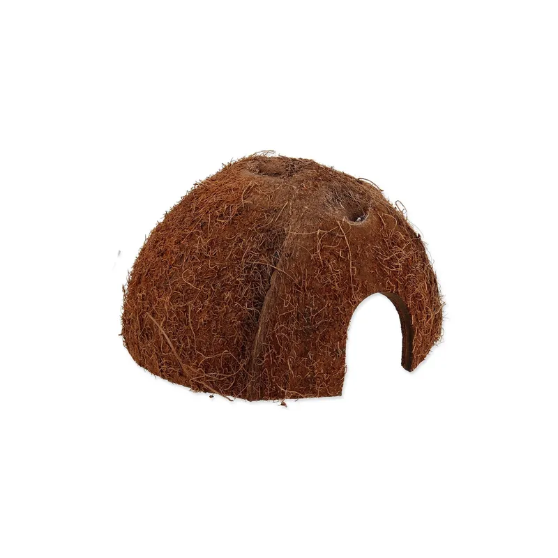 Repti Planet Coco Schale M
