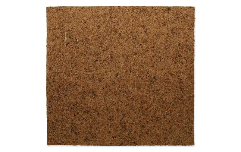 Repti Planet Coco Hintergrund 50 x 50 cm