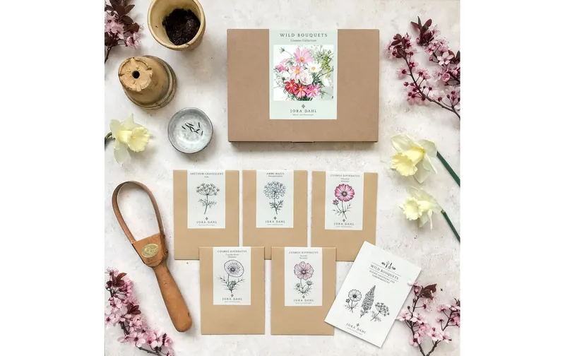 Gorilla Gardening Blumenstrauss zum selber Pflanzen Kosmeen-Mischung