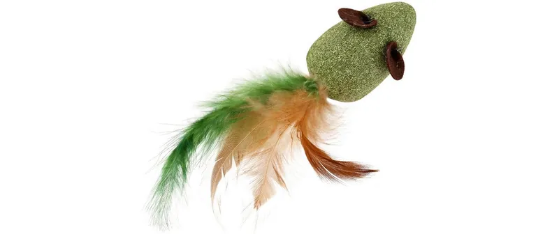 WOUAPY Katzen-Spielzeug Big Fledermaus