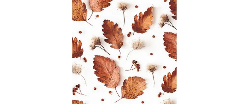 brun + Company Papierservietten Soft Autumn blanc, 20 pièces