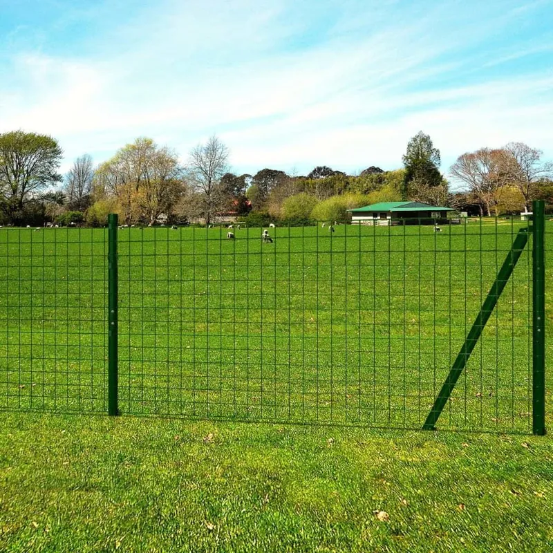 Eurozaun Stahl 25 x 1,7 m verde