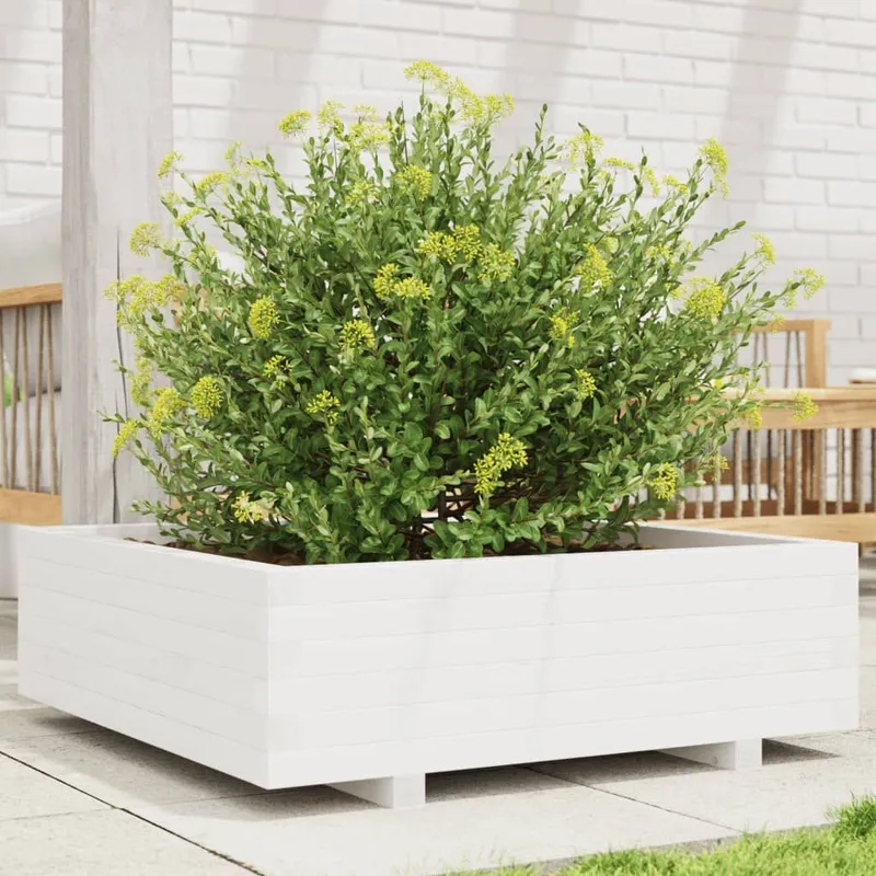 Jardinière blanc 80x80x26,5 cm bois de pin massif