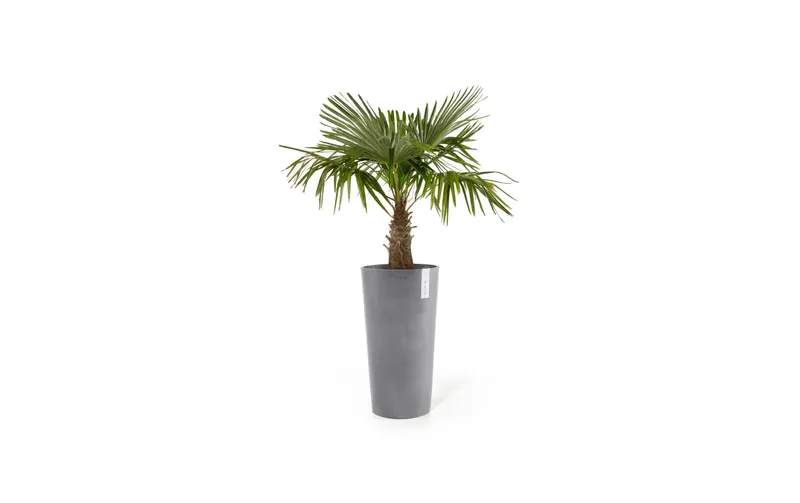 Ecopots Blumentopf Amsterdam High Ø 76 cm Hellgrau