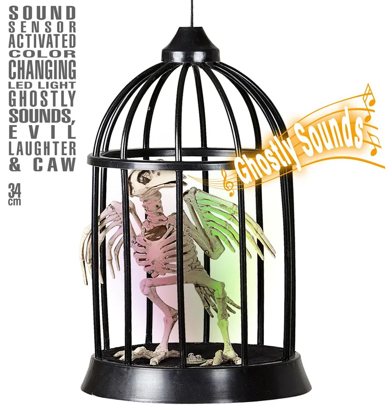 Corbeau squelette en cage avec