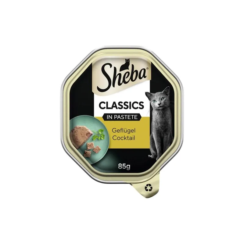 Sheba Classics Schale Geflügel Pastete 22 x 85g
