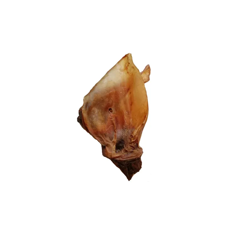 essendia Kausnack Rinderorecchie con Muschel gross, 500 g