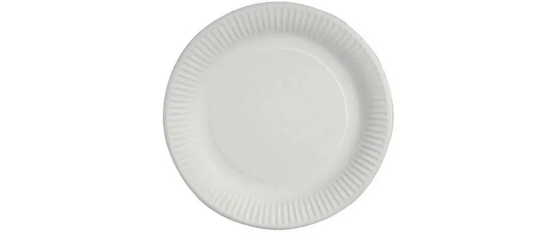 Papstar Einwegteller PURE 23 cm 100 Stück