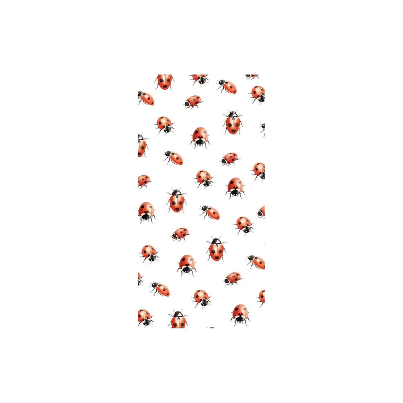 Braun + Company Taschentücher Marienkäfer 1 Päckchen à 10 Taschentücher