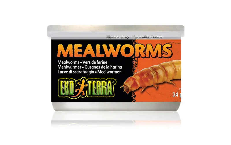 Exo Terra Dosenfutter Mealworms, 34 g
