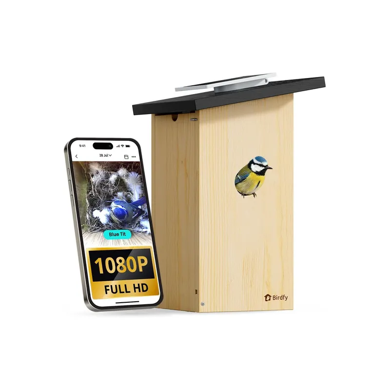 Birdfy Nistkasten mit Kamera und Solar