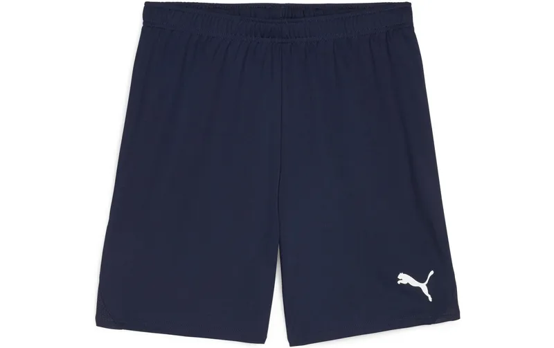 PUMA Shorts teamGOAL L, Blau